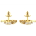 Earrings AFP00065-T