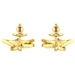 Earrings AFP00068-T