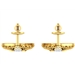 Earrings AFP00077-T