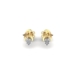 Earrings SE 0322-A