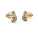 Earrings SE 0324-C