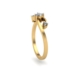 Rings SR 0746-C