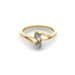 Rings SR 0753-E
