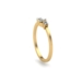 Rings SR 0763-C